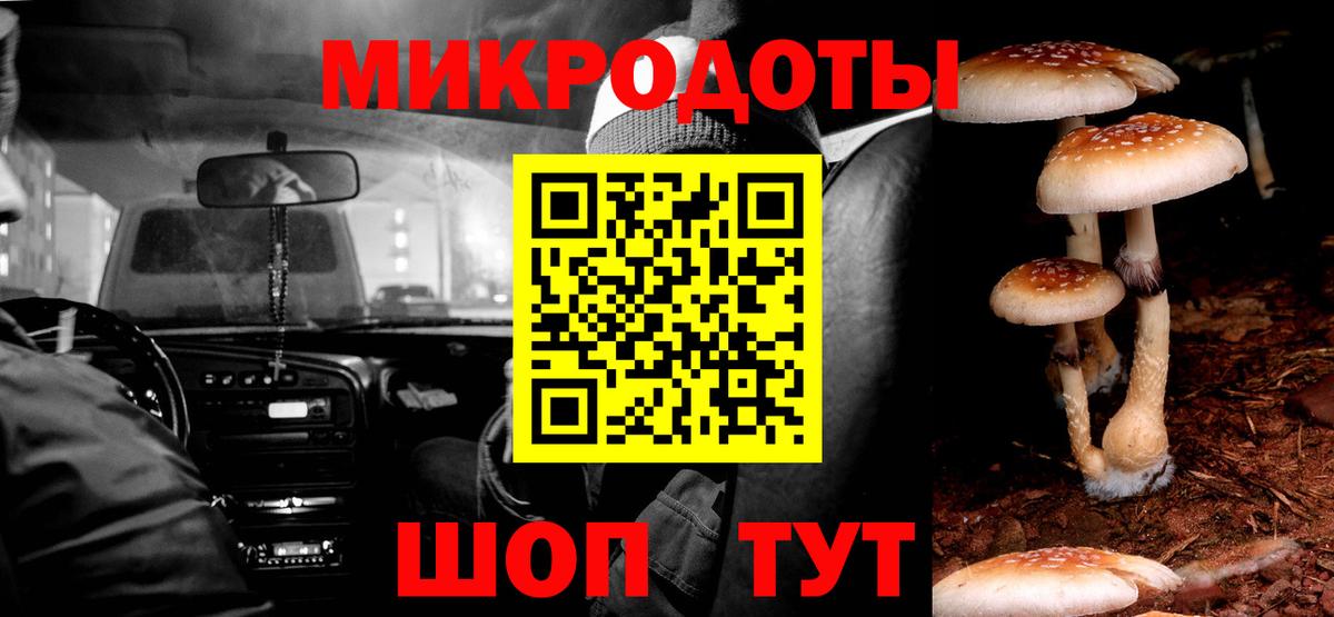 Псилоцибиновые грибы прущие грибы Касимов