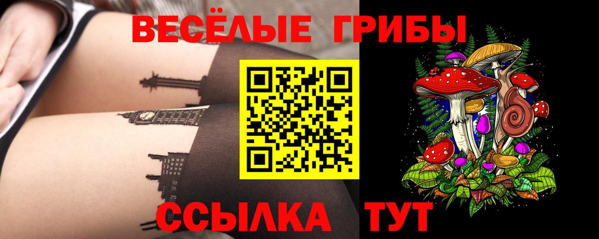 Касимов  Псилоцибиновые грибы мицелий  Галлюциногенные грибы прущие грибы  Вход с VPN 